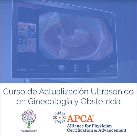 Captura de pantalla 2019-09-19 a las 12.38.45 p.m.